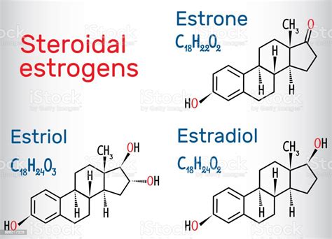 Chemical Formulas Of Steroidal Estrogens Estradiol Estriol Estrone