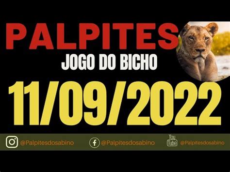 PALPITE DO DIA 11 09 2022 Jogo Do Bicho TODAS AS LOTERIAS Book NEWS