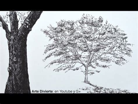 Cómo dibujar un árbol con marcadores Cómo dibujar árboles Roble