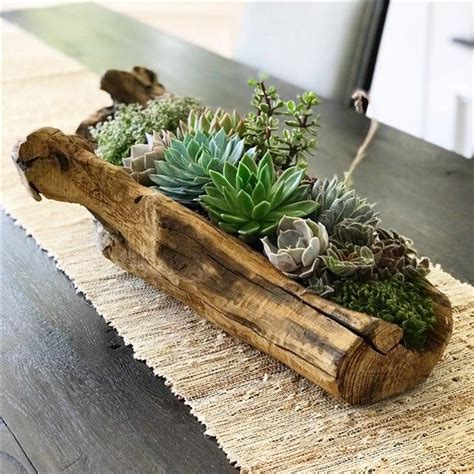 Log Planters Fascinating DIY Ideas Succulent Planter Diy Succulent