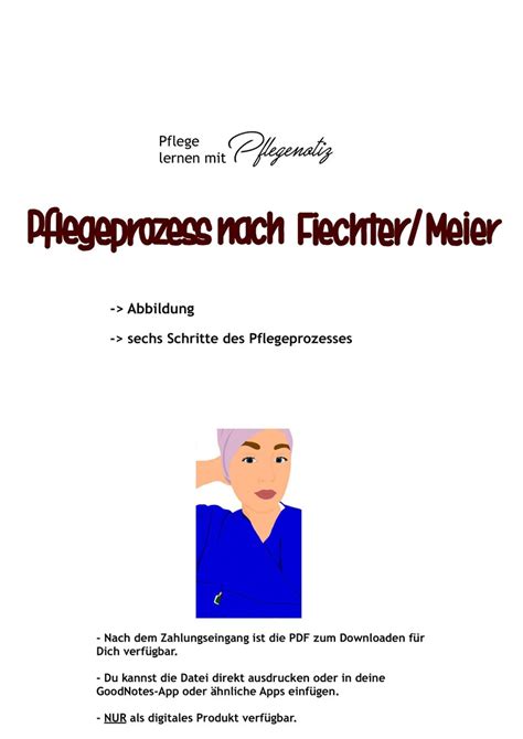 Lernzettel Pflegeprozess Fiechter Meier Pflegenotiz Etsy