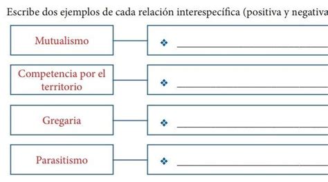 Escribe Dos Ejemplos De Cada Relaci N Interespec Fica Positiva Y