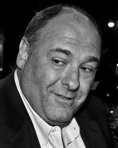 James Gandolfini 1961 2013 Chris Worfolks Blog