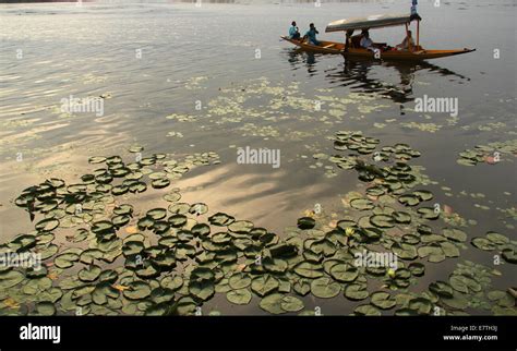 Dal Lake Srinagar Stock Photo Alamy