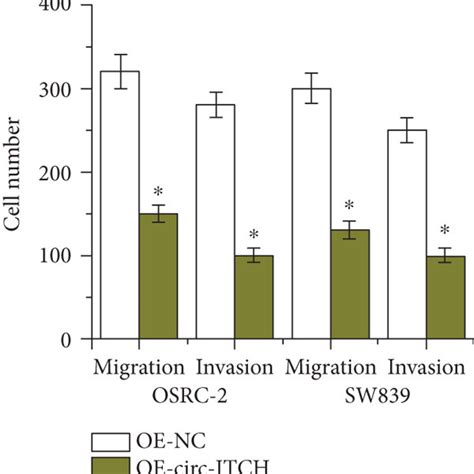 Circ Itch Inhibits Ccrcc Cell Migration And Invasion A B The Download Scientific Diagram