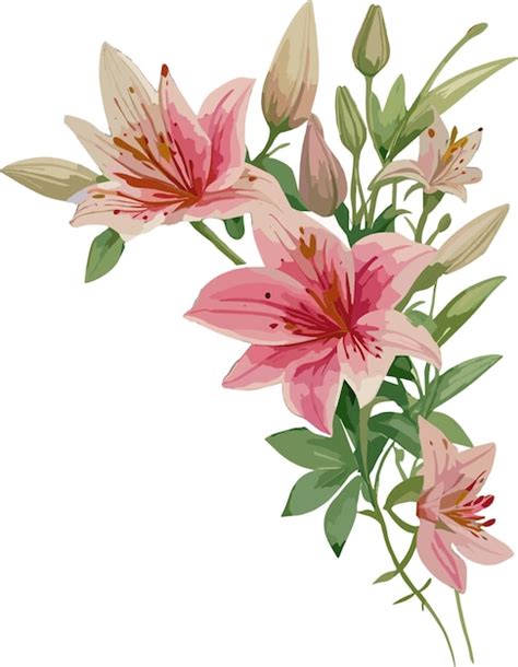 Imagen Vectorial De Acuarela Lirio Rosa Y Flores Silvestres Vector