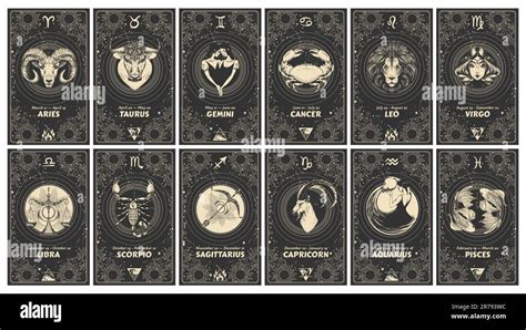 Set Of Astrology Cards With Zodiac Signs Horoscope Tarot Fortune