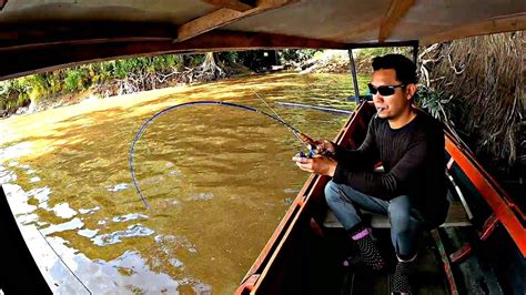 REZEKI PEMANCING UDANG GALAH GAK ADA YANG TAU GABUNGAN TRIP MANCING