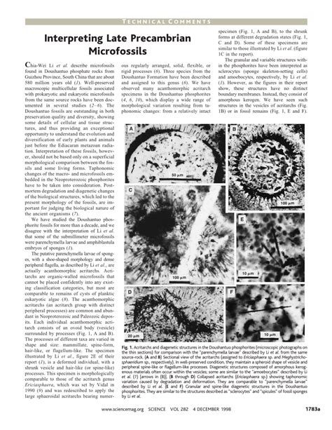 (PDF) Interpreting Late Precambrian Microfossils