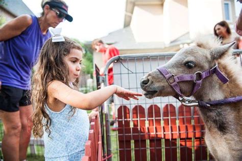 Petting Zoofarm Themed Birthday Party Ideas Photo 13 Of 30 Zoo