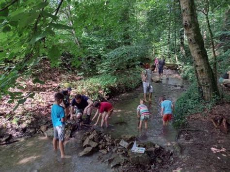 Leinen los in Michelbach Schwäbischer Albverein Familien