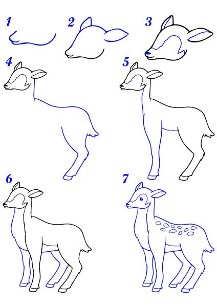 Coloriage biche à imprimer en PDF Dessin de biche à colorier gratuit