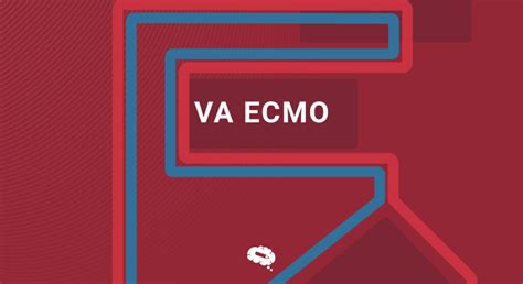 VA ECMO Understand What It Is And How It May Be Utilized To Save Lives