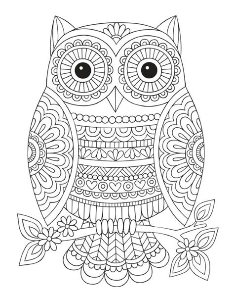 Owl Mandala Coloring Page - Etsy