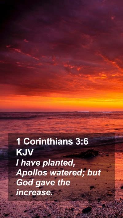 1 Corinthians 3 6 KJV Mobile Phone Wallpaper I Have Planted Apollos