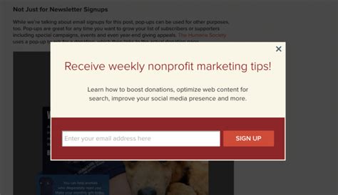 10 Techniques To Grow Your Nonprofit S Email List