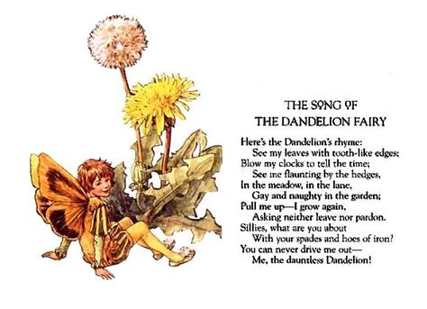 The Dandelion Fairy By Cicely Mary Baker Dandelion Flower Fairies Fairy