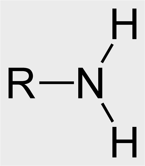 Nitro Compound Thiol Amide Carbonyl Group Hydroxy Group Ether