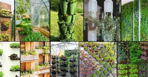 15 Creative Vertical Gardening Ideas Food Prep Guide Preserving And Storing Food