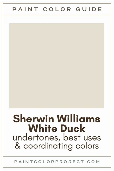 Sherwin Williams White Duck Complete Color Review The Paint Color