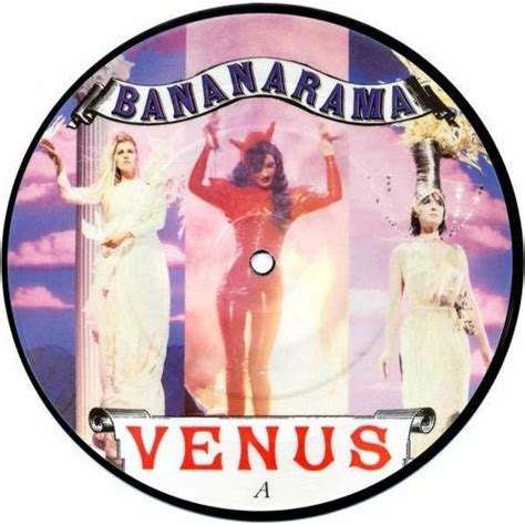 Stream Bananarama Venus Sestak Arpi Viktor Gndr Edit By Sestak