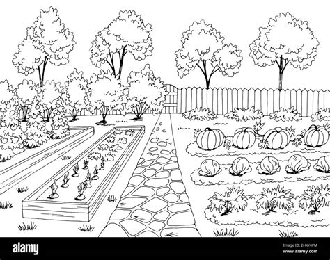 Vegetable Garden Clipart Border