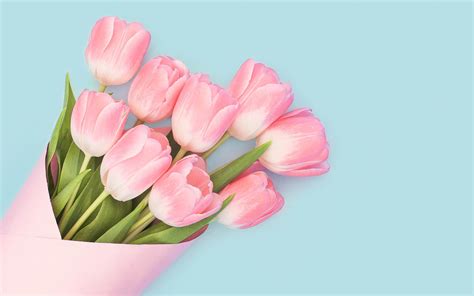 Pink Tulip Wallpapers - Top Free Pink Tulip Backgrounds - WallpaperAccess