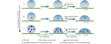 Research Progress On The Wetting And Deposition Behaviors Of Pesticide