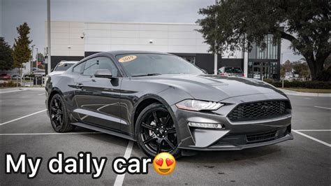 A Look At My 2019 Mustang Ecoboost Premium Youtube