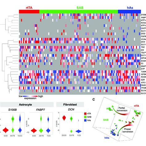 Single Cell Gene Expression Analysis Reveals Heterogeneity And Download Scientific Diagram