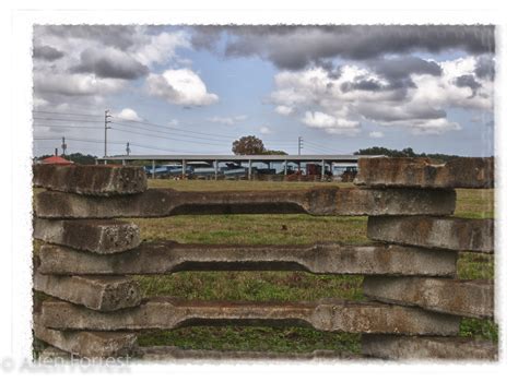 elevation  florida fl florida usa topographic map altitude map