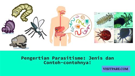 Pengertian Parasitisme Jenis Dan Contoh Contohnya