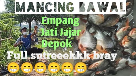 Mancing Bawal Empang Jati Jajar Depok Bray YouTube