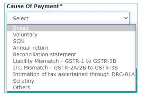 Revised Form Gst Drc Procedure For Intimation Of Voluntary Payment