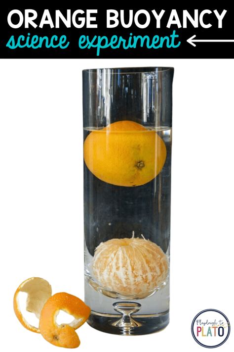 Orange Buoyancy Kids' Science Experiment - Playdough To Plato