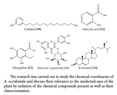 Isolation And Characterization Of The Chemical Constituents Of