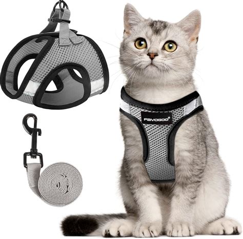 Pet Supplies Cat Harness Cat Leash And Harness Set For Walking