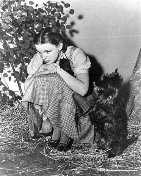 Dorothy And Toto Wizard Of Oz Toto Played By Terry A Cairn Terrier