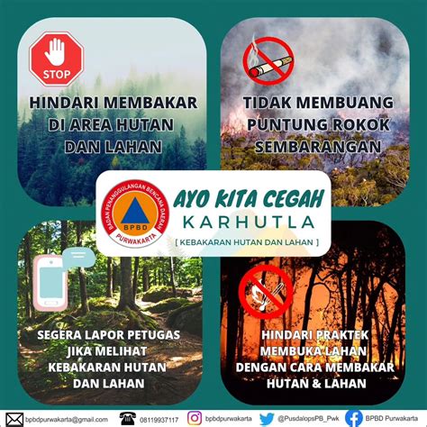 Informasi Seputar Kebakaran Hutan Dan Lahan Karhutla Data Kabupaten