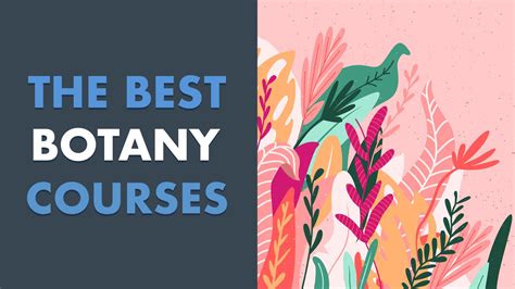 5 Best Botany Classes And Courses Online