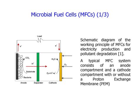 Mathematical Modeling Control And Diagnosis Of Microbial Fuel Cells