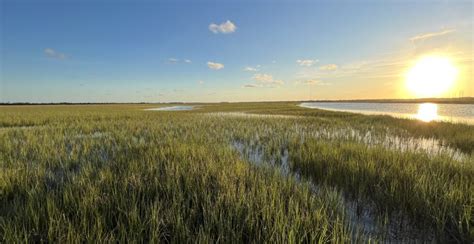 South Carolina Partners Begin Action On Salt Marsh Conservation Plan