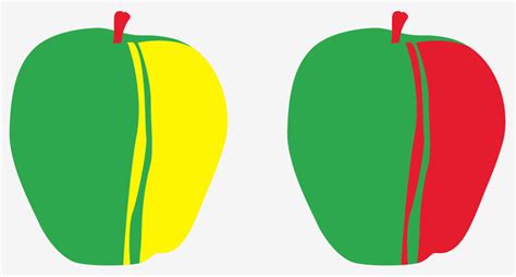 apple drawing  getdrawings