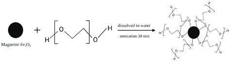 Surface Modification Using Polyethylene Glycol Peg Download Scientific Diagram