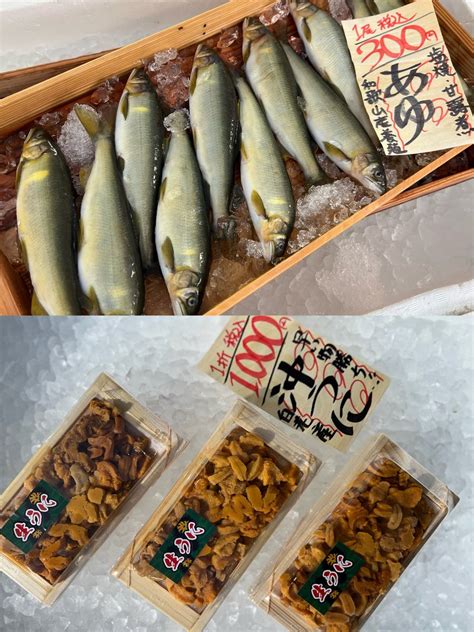 まるせん木村屋🐟 On Twitter おはようございます☀️ 5月30日火曜日のおすすめ👀 大分産 赤いさき 1尾 1000円 上品な