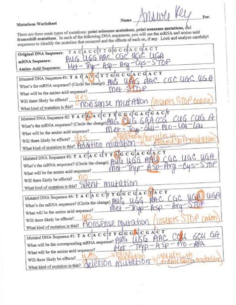 Mutation Worksheet Answer Key Biology