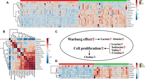 Metabolic Data Visualization Heatmap A And Correlation B Analyses