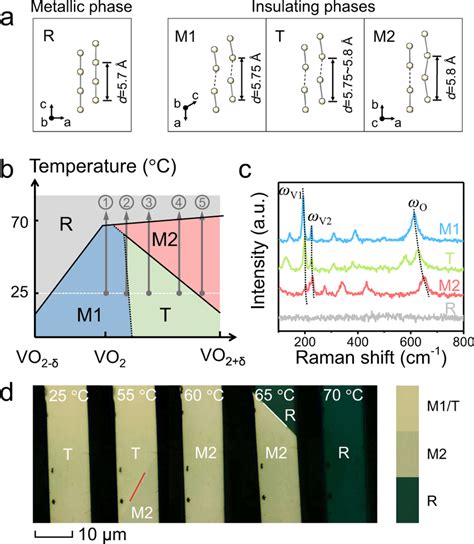 Structural Configuration And Characterization Of Vo2 Phases A Download Scientific Diagram