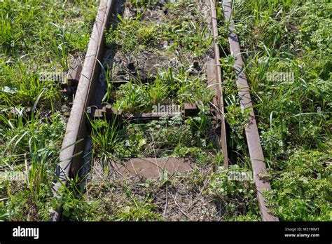 Old Abandoned Railway Overgrown With Grass Stock Photo Alamy