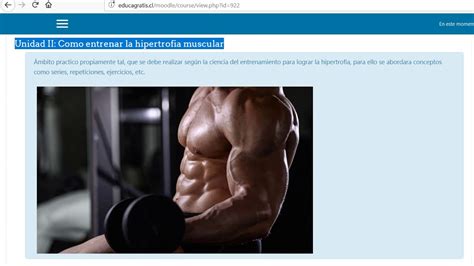 Curso Entrenamiento Para Hipertrofia Muscular Para Principiantes YouTube